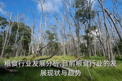 中国粮食行业发展分析,目前粮食行业的发展现状与趋势