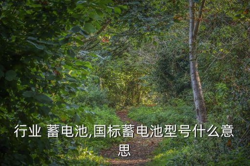 国标行业 蓄电池,国标蓄电池型号什么意思