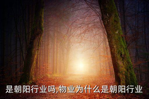 是朝阳行业吗,物业为什么是朝阳行业