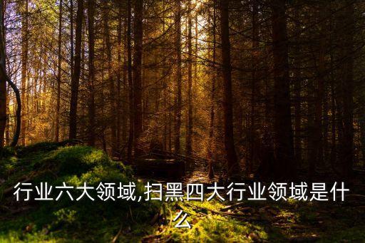 四大行业六大领域,扫黑四大行业领域是什么