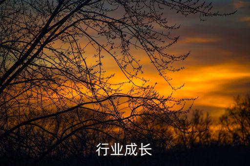 煤炭行业成长
