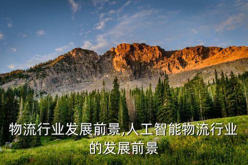 物流行业发展前景,人工智能物流行业的发展前景