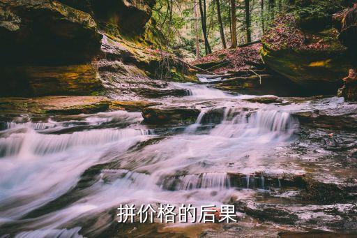 行业拼价格的后果