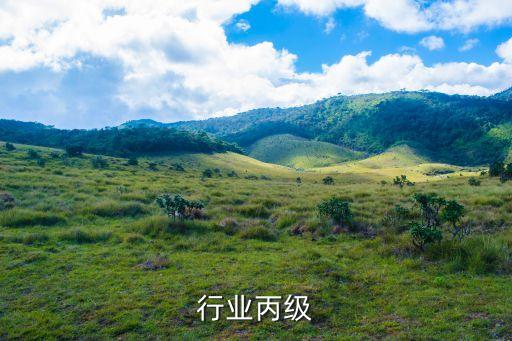 行业丙级
