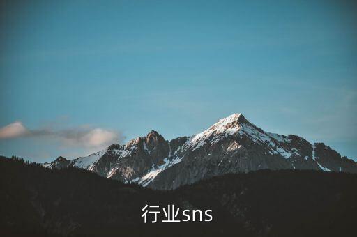 行业sns