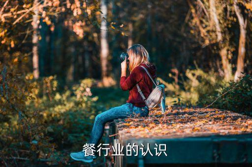 餐行业的认识