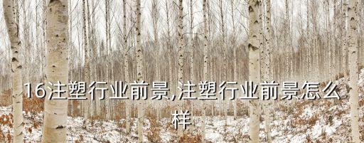 16注塑行业前景,注塑行业前景怎么样