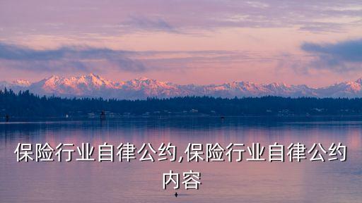 保险行业自律公约,保险行业自律公约内容