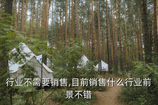 行业不需要销售,目前销售什么行业前景不错