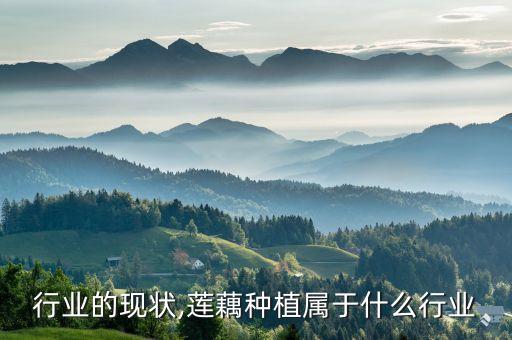 行业的现状,莲藕种植属于什么行业