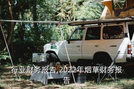 行业财务报告,2022年烟草财务报告
