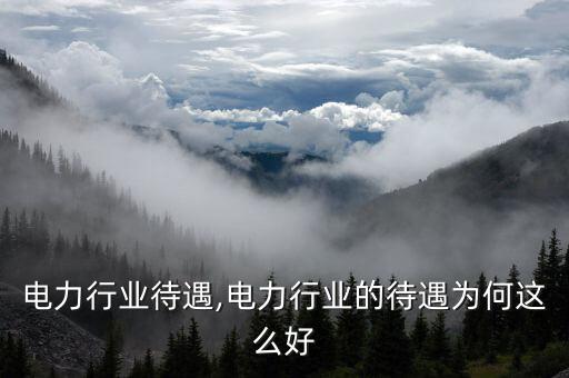 国外电力行业待遇,电力行业的待遇为何这么好