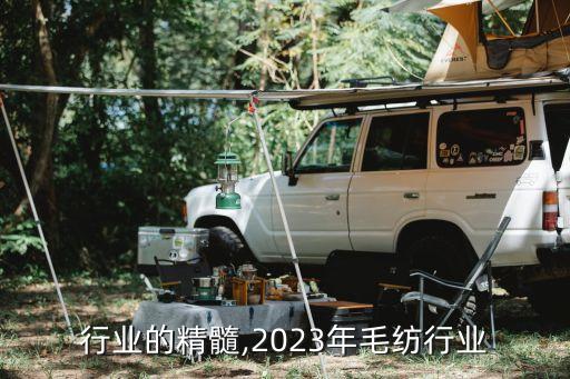 行业的精髓,2023年毛纺行业