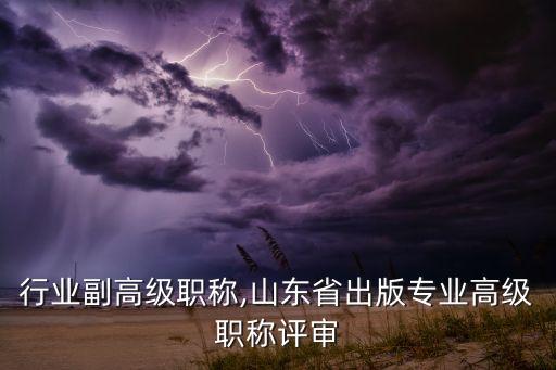 行业副高级职称,山东省出版专业高级职称评审