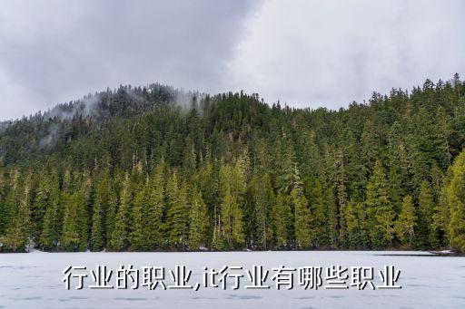 手机行业的职业,it行业有哪些职业