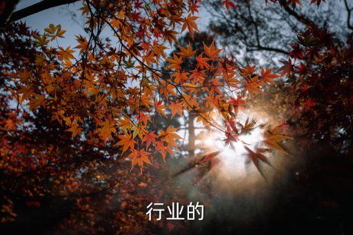 行业的