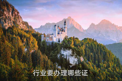 行业要办理哪些证