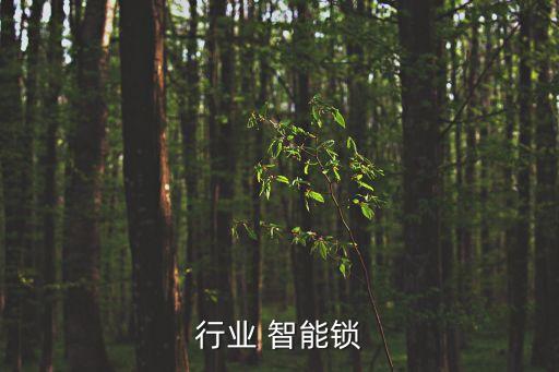 电力行业 智能锁