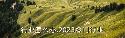 行业怎么办,2023冷门行业