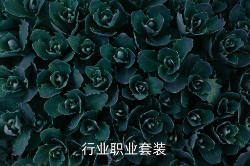 行业职业套装