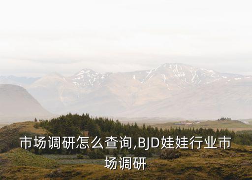 行业市场调研怎么查询,BJD娃娃行业市场调研