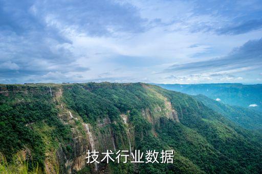 技术行业数据