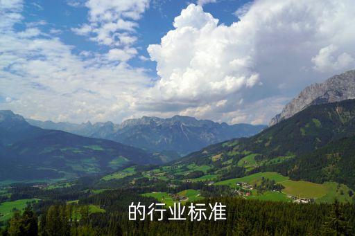 的行业标准