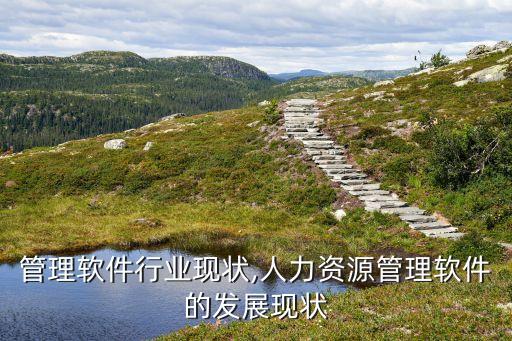中国管理软件行业现状,人力资源管理软件的发展现状