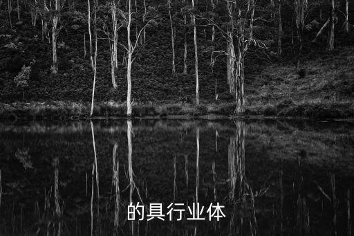 零售的具行业体
