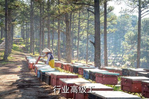 行业高级工