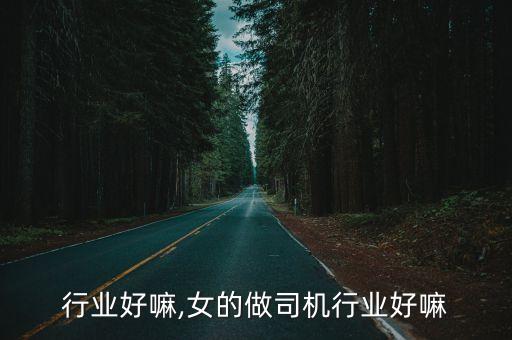 行业好嘛,女的做司机行业好嘛