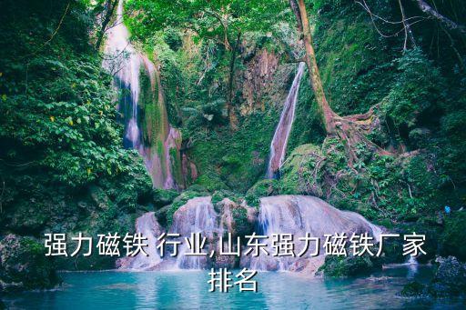 山东 强力磁铁 行业,山东强力磁铁厂家排名