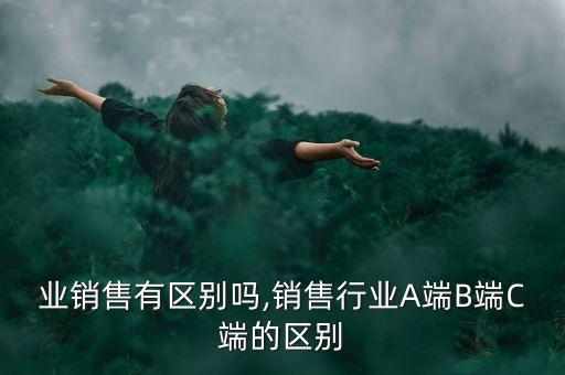 各行业销售有区别吗,销售行业A端B端C端的区别