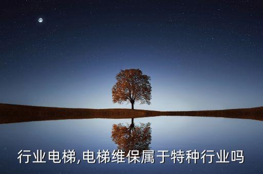 行业电梯,电梯维保属于特种行业吗