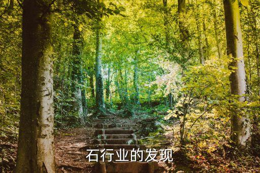 磷矿石行业的发现