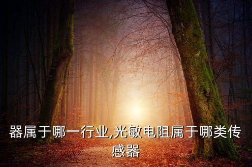 器属于哪一行业,光敏电阻属于哪类传感器