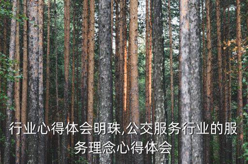 行业心得体会明珠,公交服务行业的服务理念心得体会