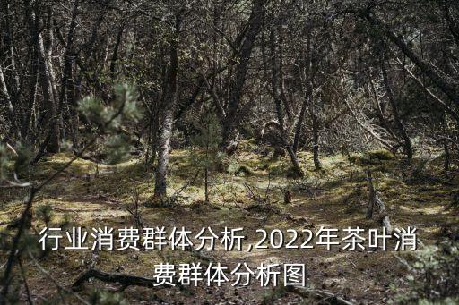 行业消费群体分析,2022年茶叶消费群体分析图