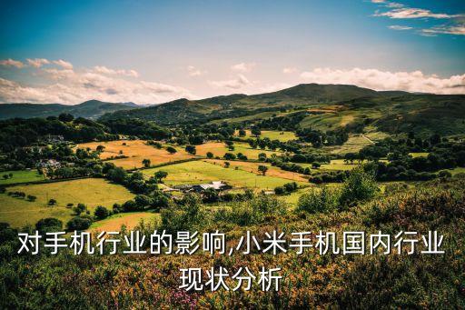 小米对手机行业的影响,小米手机国内行业现状分析