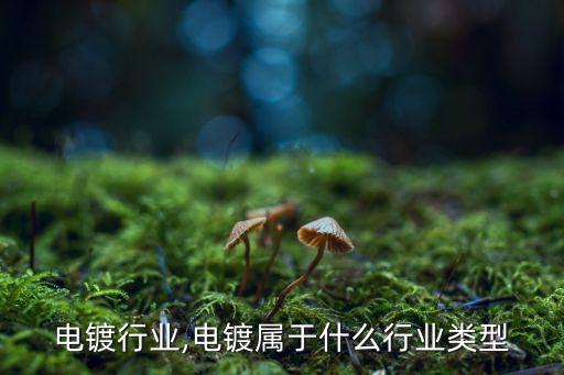 绍兴电镀行业,电镀属于什么行业类型