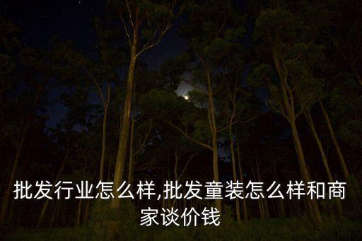 批发行业怎么样,批发童装怎么样和商家谈价钱