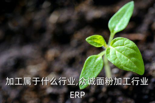 加工属于什么行业,众诚面粉加工行业ERP