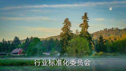 行业标准化委员会