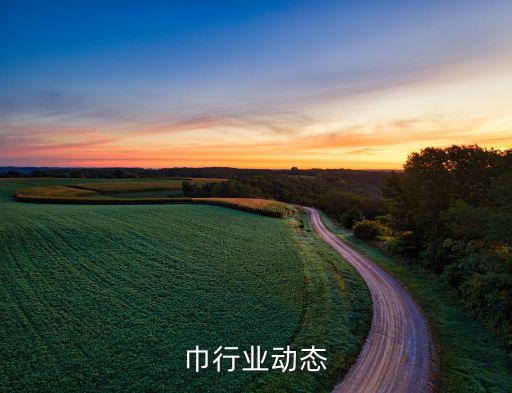 巾行业动态