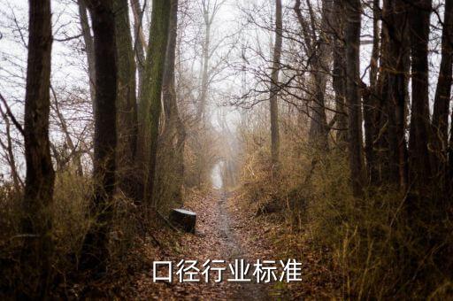 口径行业标准