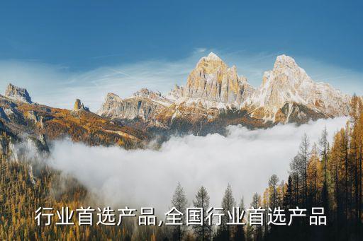行业首选产品,全国行业首选产品