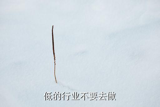 低的行业不要去做