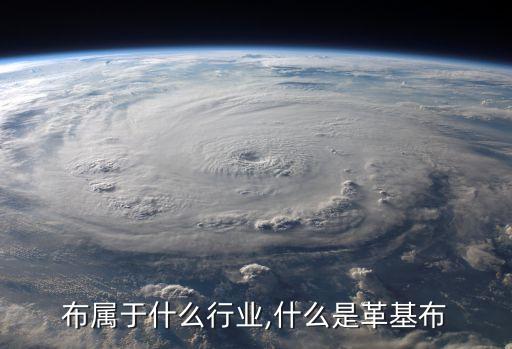 革基布属于什么行业,什么是革基布