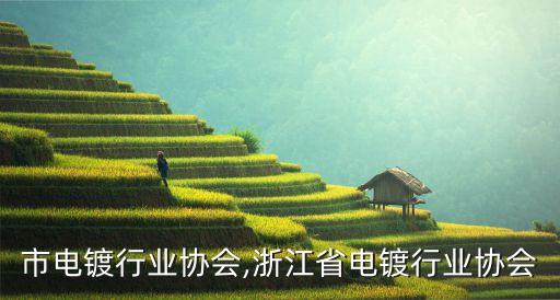 广州市电镀行业协会,浙江省电镀行业协会