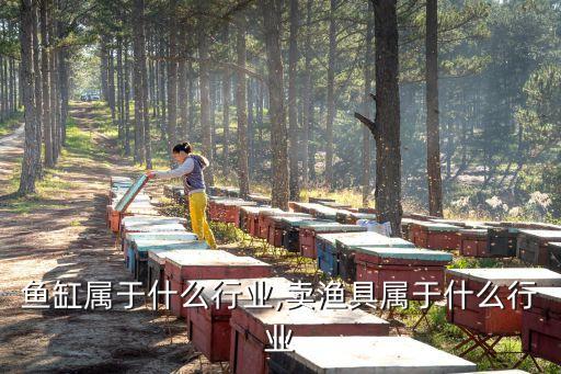 鱼缸属于什么行业,卖渔具属于什么行业